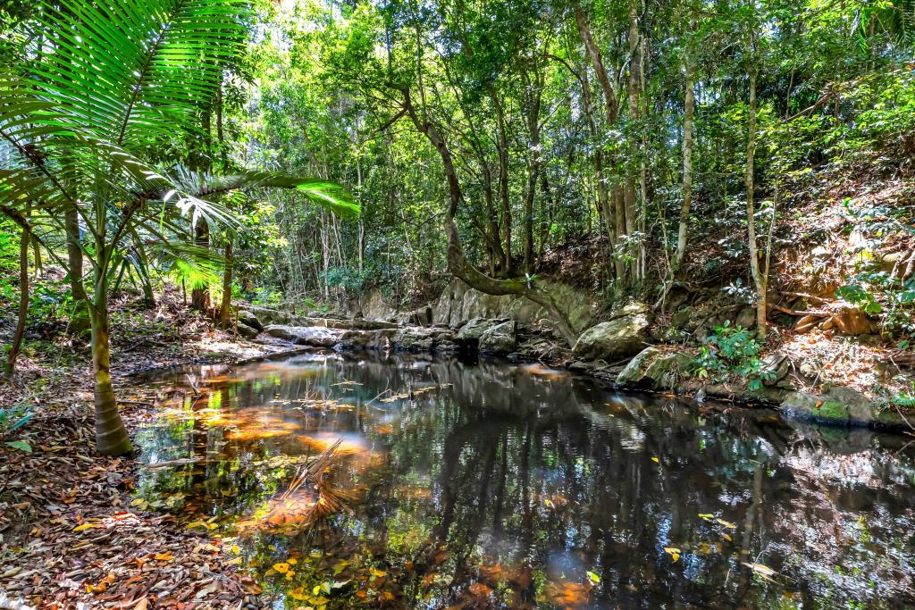 30 Jeffrey Rd, Kuranda, QLD 4881