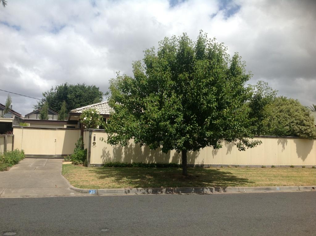 36 Turnbull St, Sale, VIC 3850