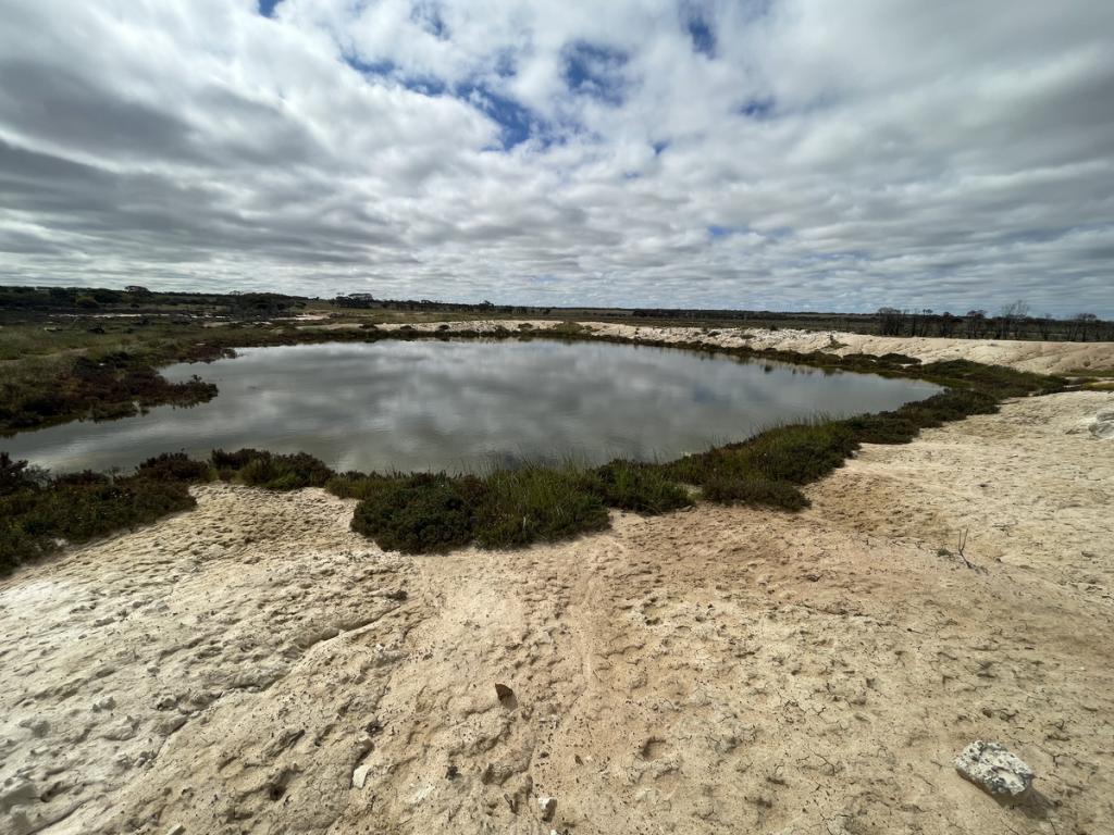 LOT 562 KOORDA WONGAN HILLS RD, BADGERIN ROCK, WA 6475