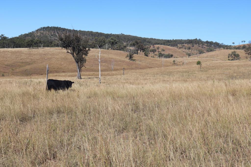 'Sparrows' Monto Mount Perry Rd, Mount Perry, QLD 4671