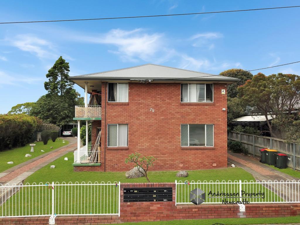 11/79 Crebert St, Mayfield, NSW 2304