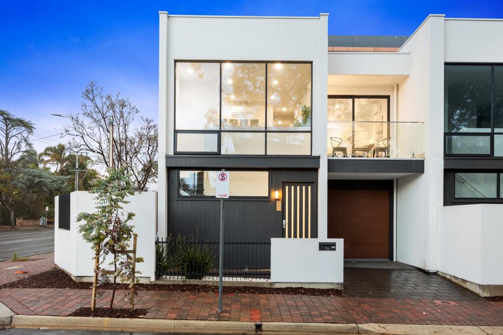 1a Birks St, Parkside, SA 5063