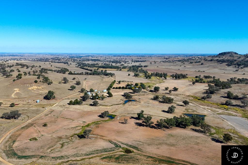 229 GOWANG RD, GOWANG, NSW 2357