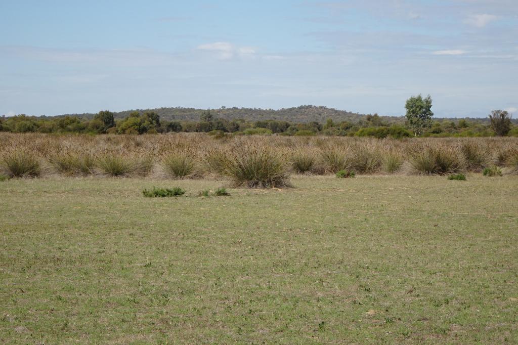 Portion Of Launer Rd, Eganu, WA 6515