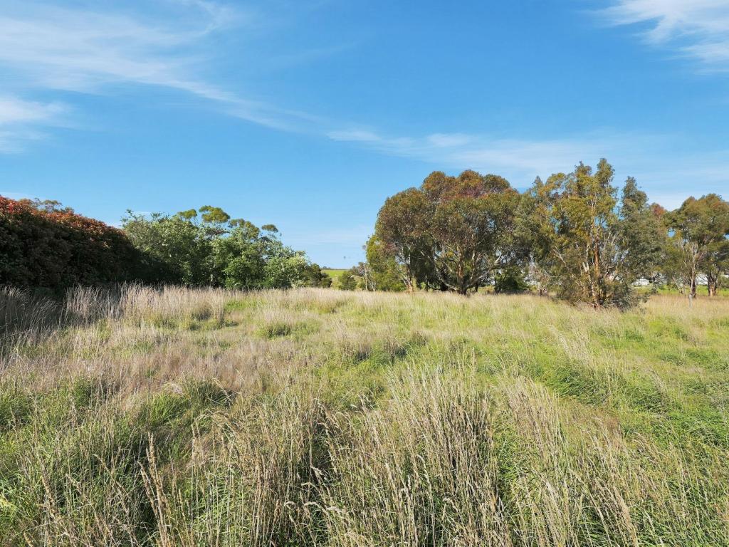 90 White Kangaroo Rd, Campania, TAS 7026