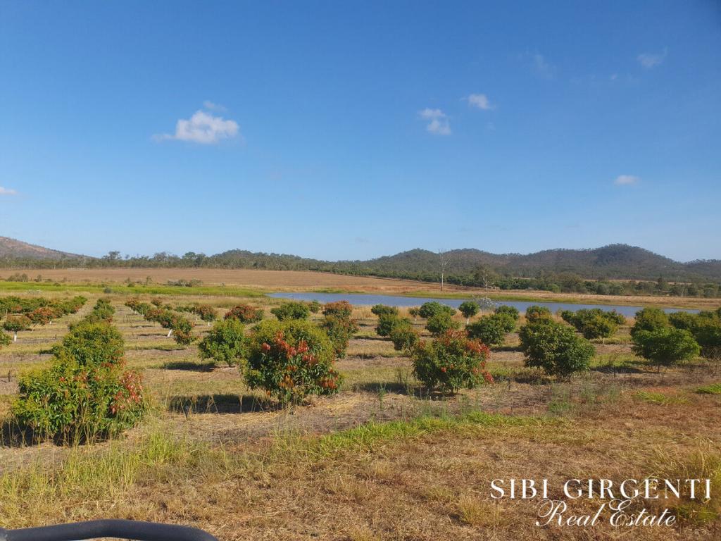 84 Chisari Rd, Mutchilba, QLD 4872