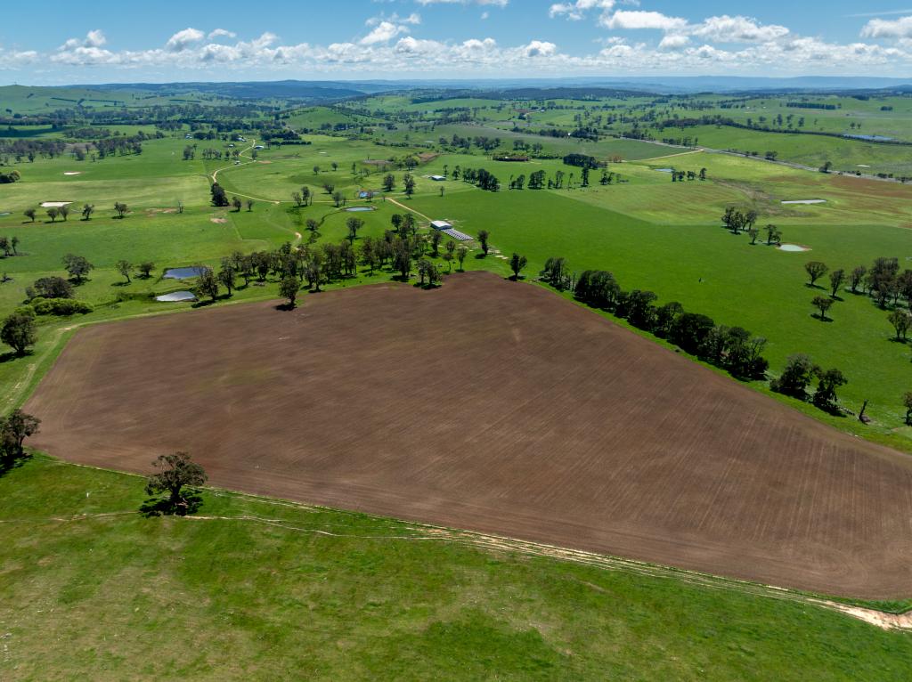 584 Three Brothers Rd, Moorilda, NSW 2795