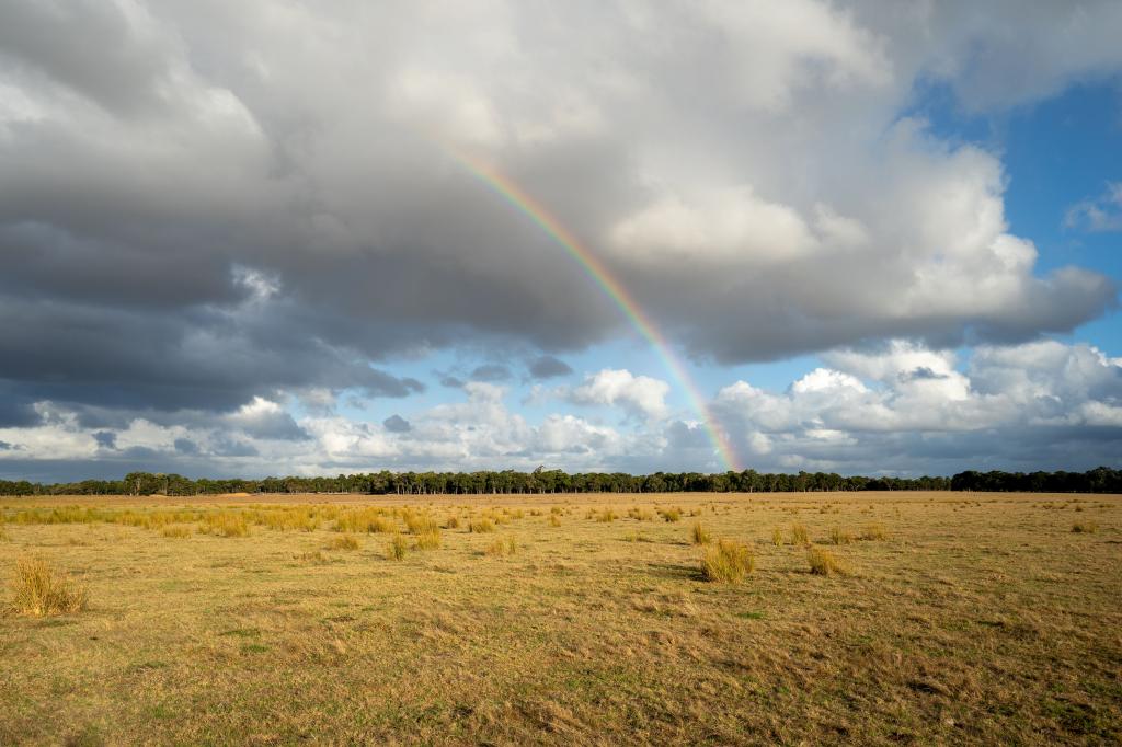 Lot 474 Yellanup Rd, Narrikup, WA 6326