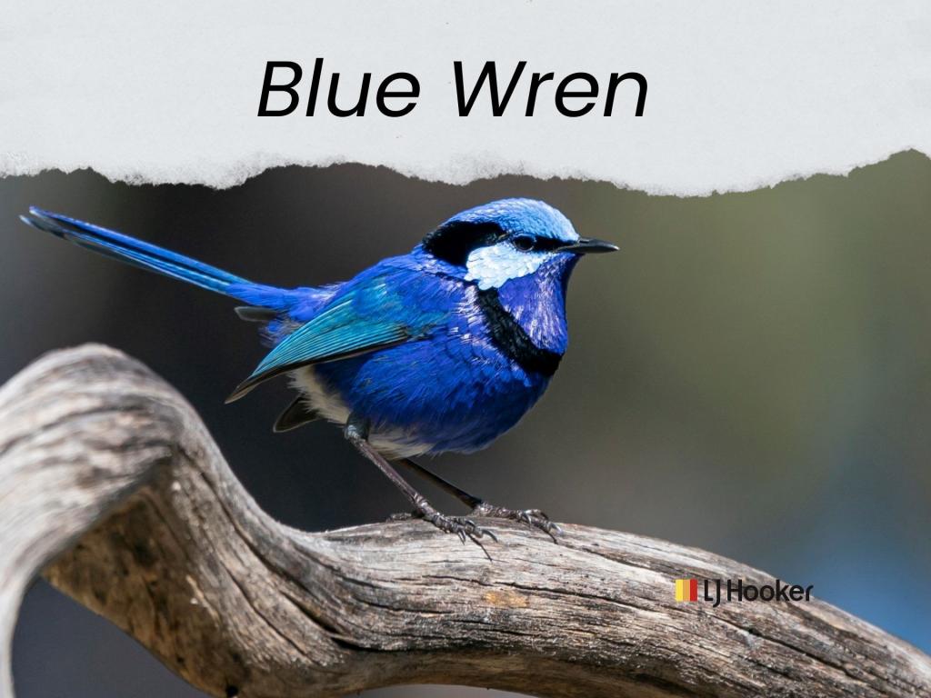 Lot 1, 2,4,6, & 14/Blue Wren Dappo Rd, Narromine, NSW 2821