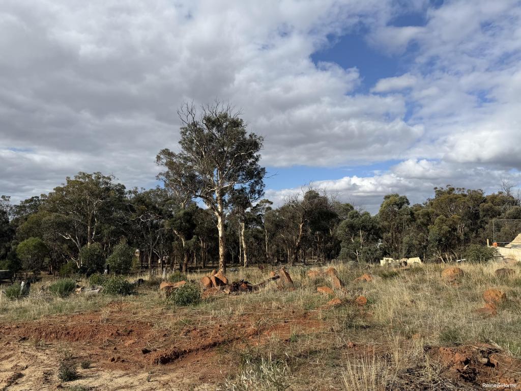 8 KING ST, DARKAN, WA 6392