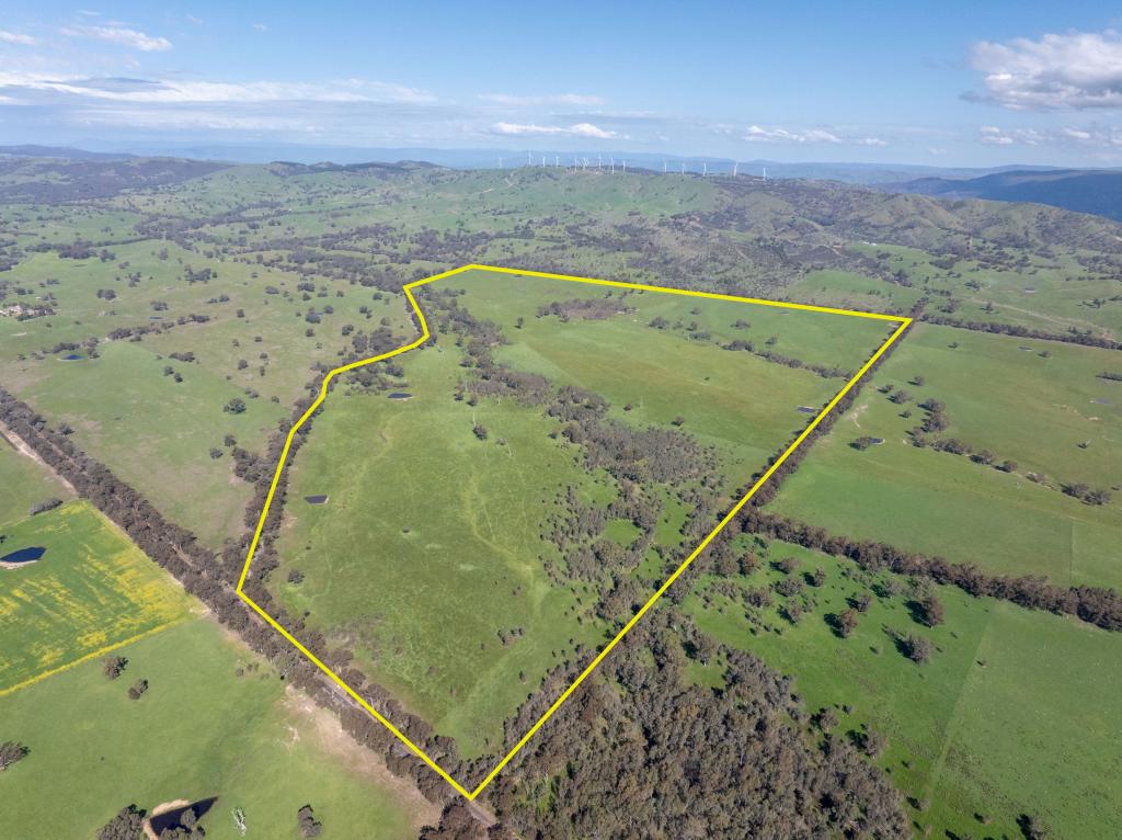 100 Wales Rd, Whiteheads Creek, VIC 3660
