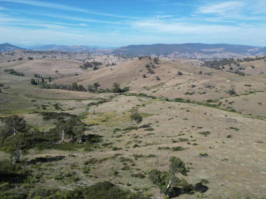 858 Sirls Rd, Jarvis Creek, VIC 3700