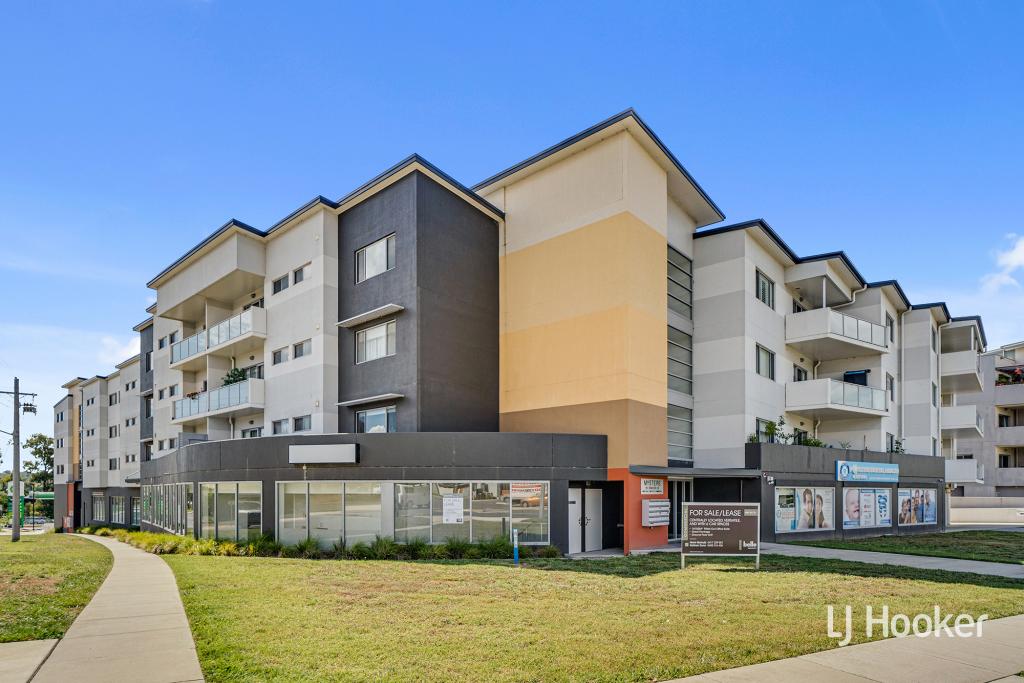 50/20 Bindubi St, Macquarie, ACT 2614