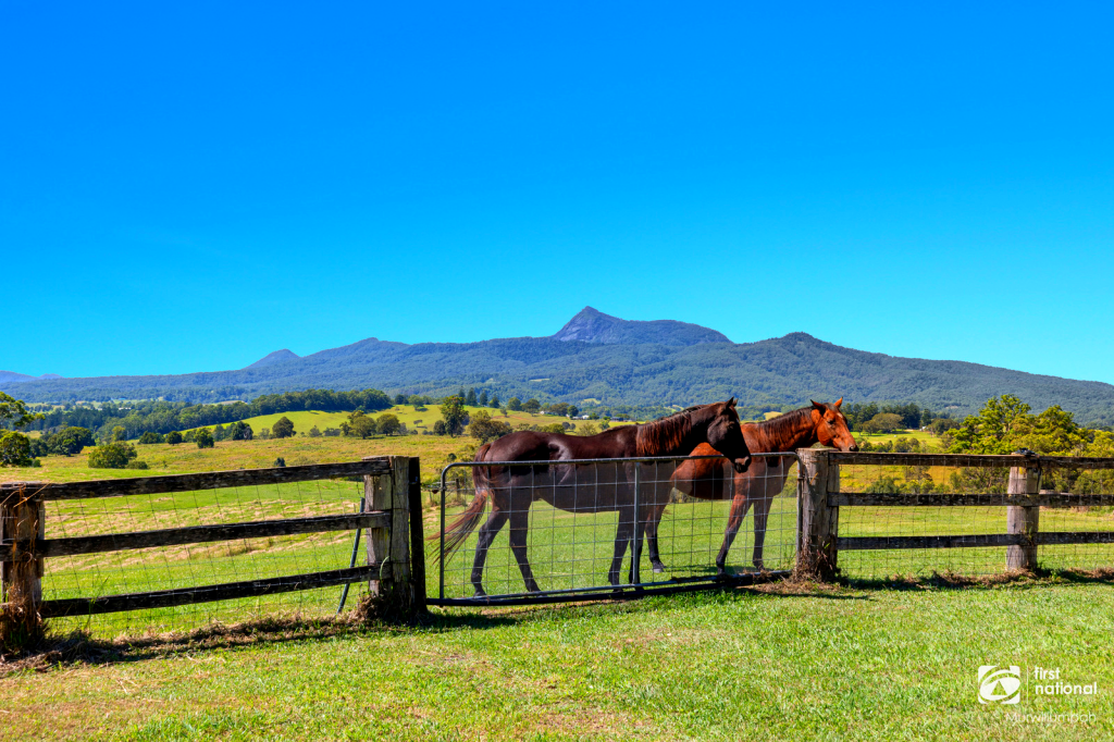 477 Pinnacle Rd, Pumpenbil, NSW 2484