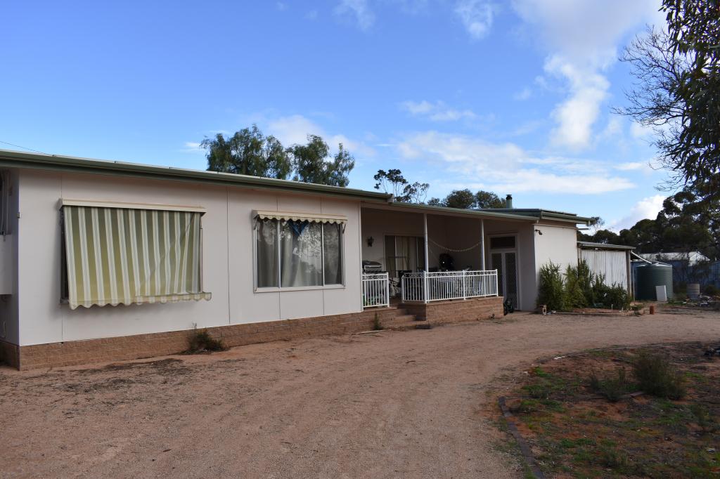 100 Bassham Rd, Barmera, SA 5345