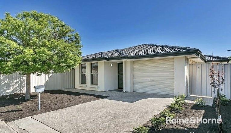 41c Cookes Rd, Windsor Gardens, SA 5087