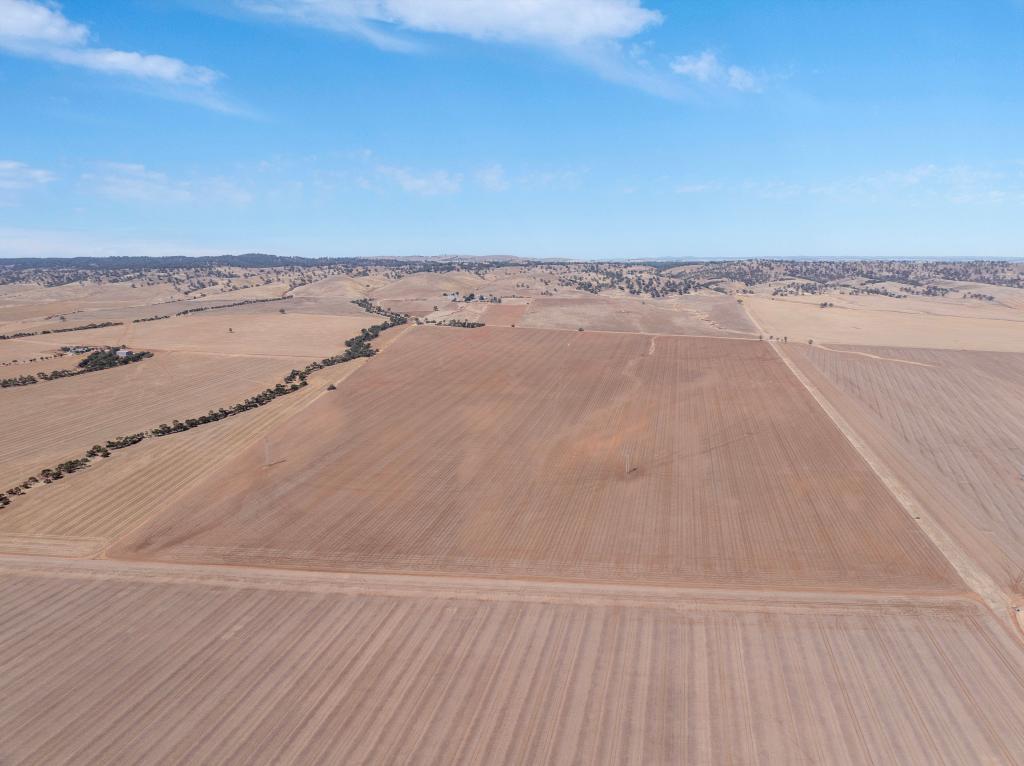 'Wiluna' Hughes Park Rd, Hoyleton, SA 5453