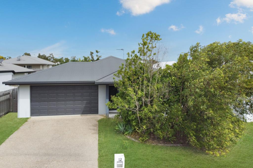 12 Merritt Ct, Deeragun, QLD 4818