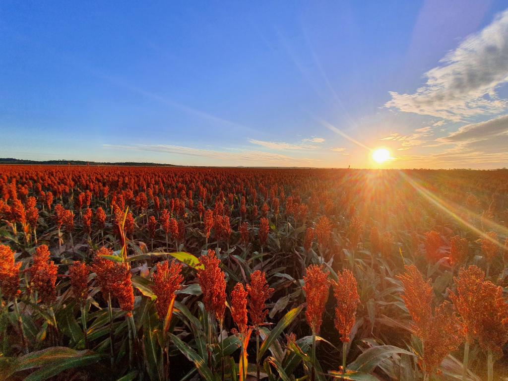 768 Rangemore Rd, Gumlu, QLD 4805