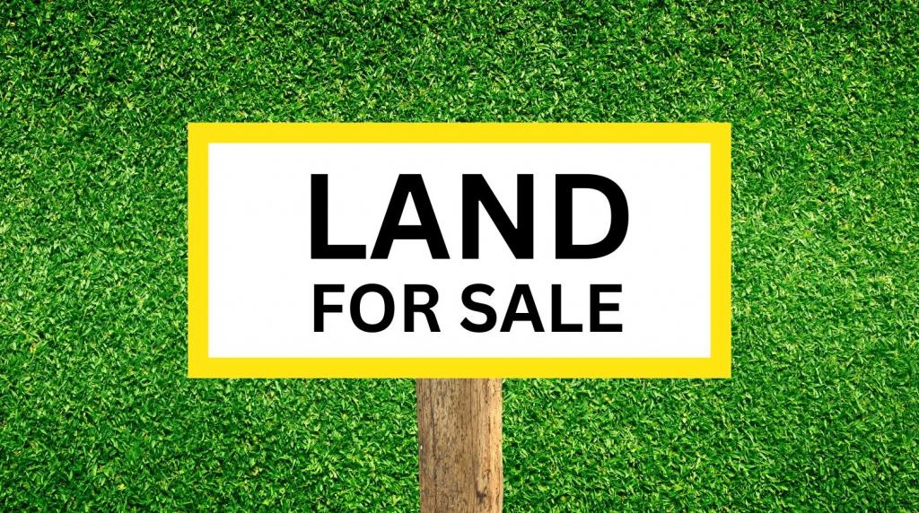 LOTS 44 & 45 HERBERT ST, ANGUS, NSW 2765