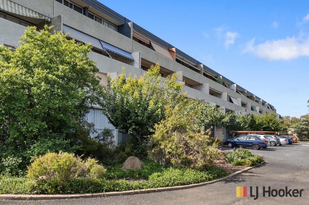 16/4 Wilkins St, Mawson, ACT 2607