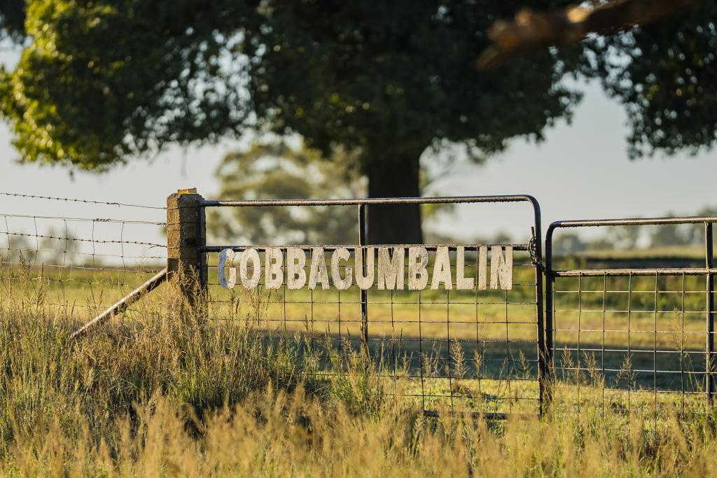 9 RIVER RD, GOBBAGOMBALIN, NSW 2650