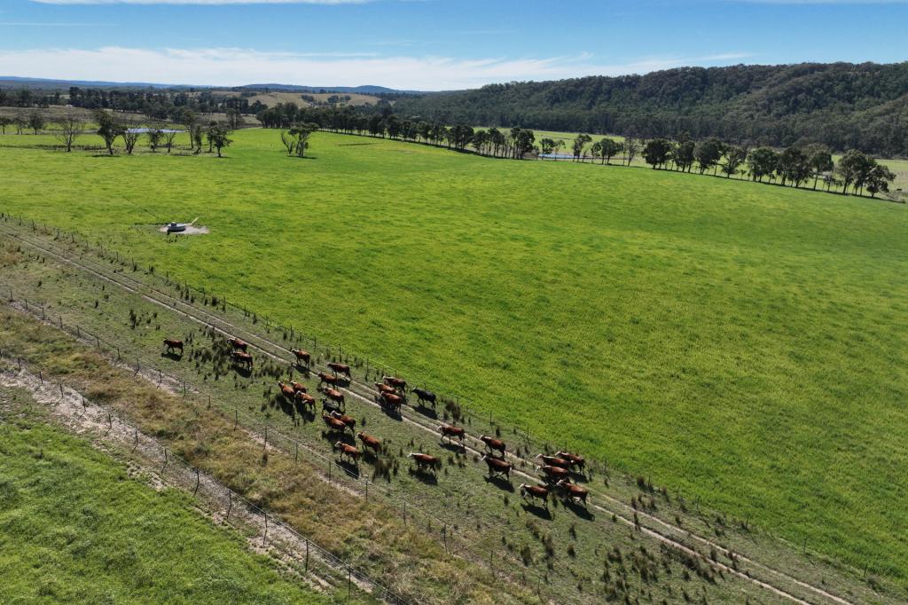 710 INVERARY RD, PADDYS RIVER, NSW 2577