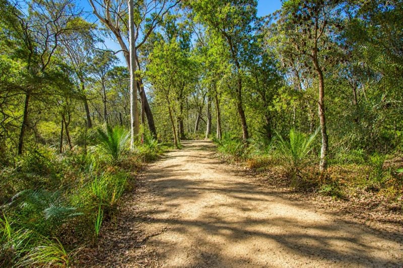 Lot 3 Donnelley Dr, Moruya, NSW 2537