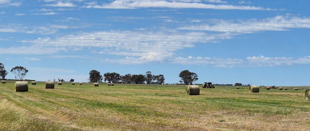 Ratio Downs, Degrussa Rd, Gibson, WA 6448