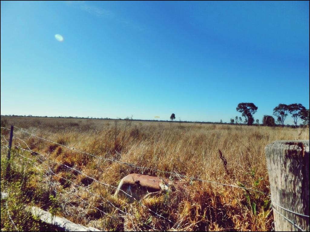 Lot 24/Lot 24 Rodney Rd, Millmerran, QLD 4357