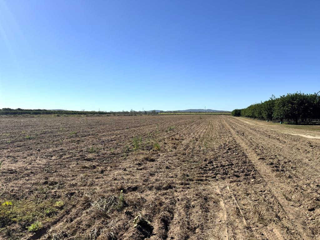 2590 Kirknie Rd, Kirknie, QLD 4806