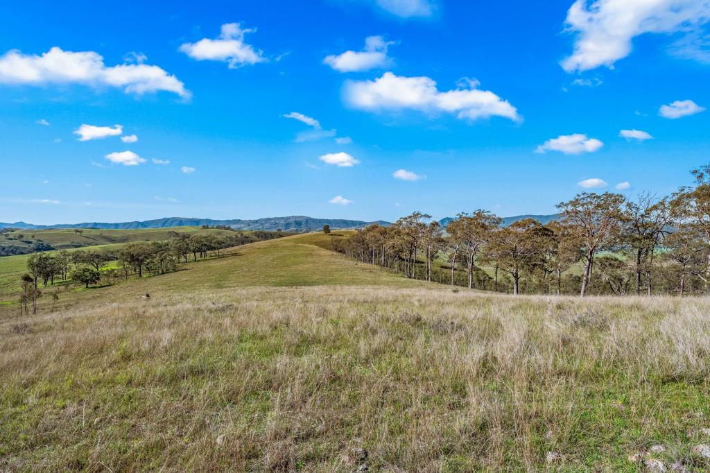Off Goorangoola Road Greenlands Rd, Greenlands, NSW 2330