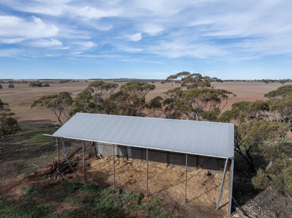 LOT 305 GOYDER RD, NEALES FLAT, SA 5374