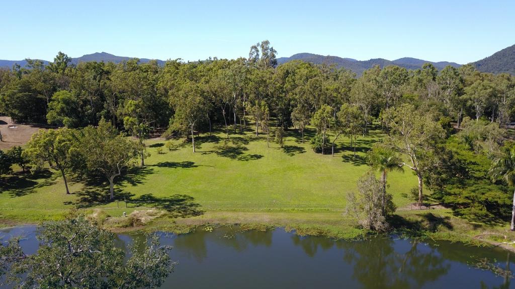  Mountney Rd, Strathdickie, QLD 4800