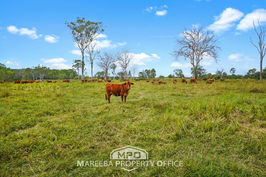 764 Hodzic Rd, Biboohra, QLD 4880