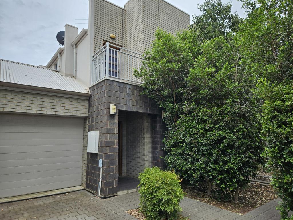 2c Alison Ave, Marion, SA 5043