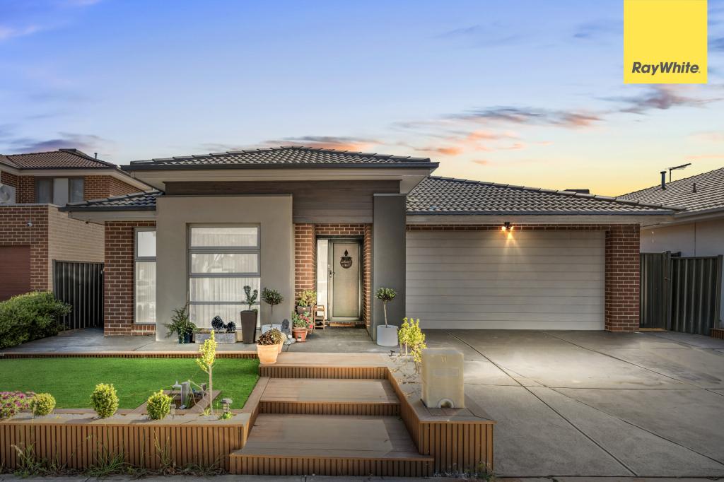 11 Macalister Gr, Cobblebank, VIC 3338