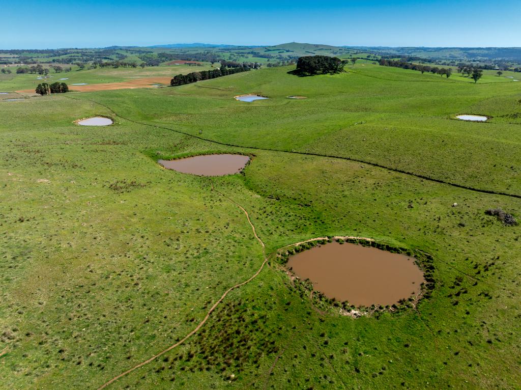 242 Bundaleer Rd, Newbridge, NSW 2795