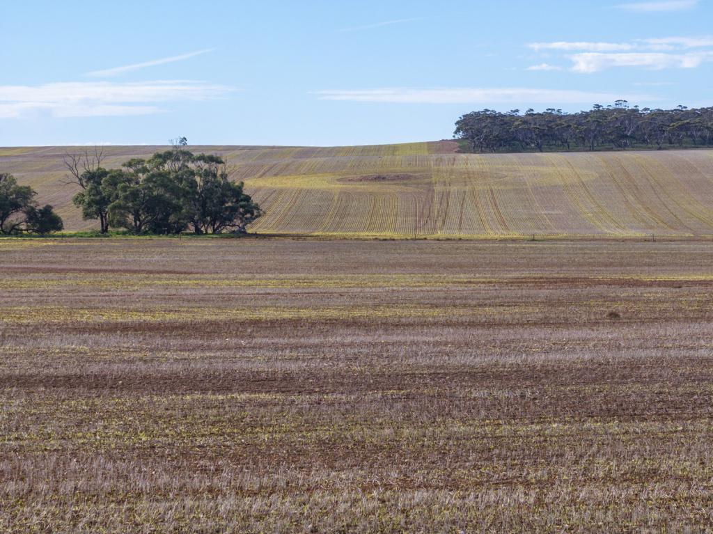Lot 305 Goyder Rd, Neales Flat, SA 5374