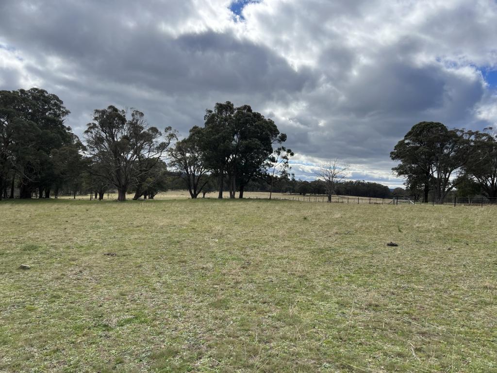 COOPERS RD, RED RANGE, NSW 2370
