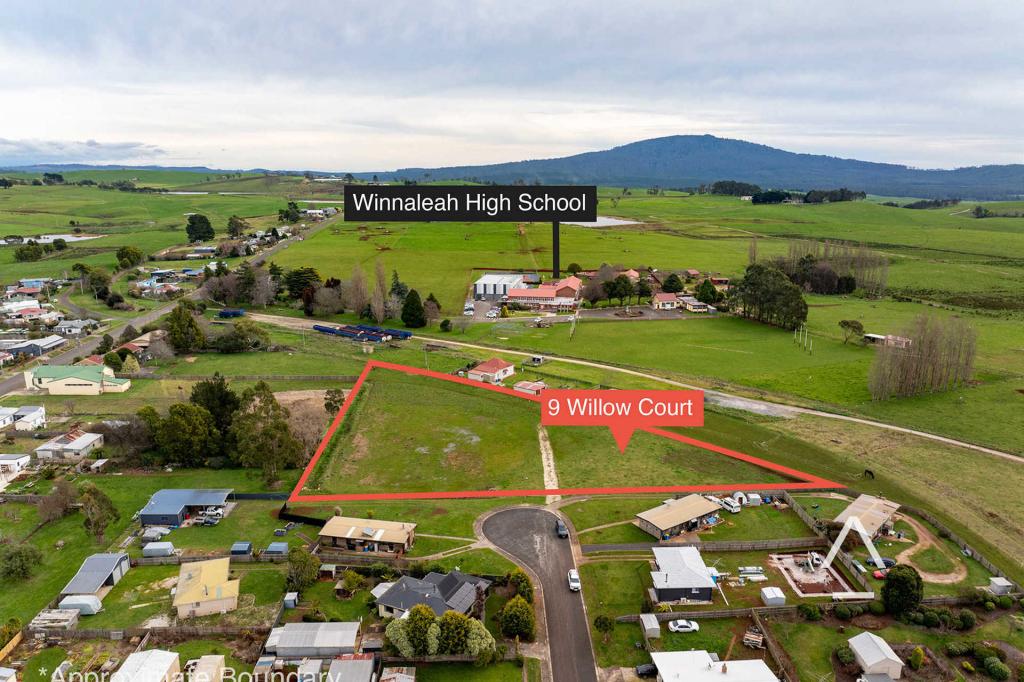 9 Willow Ct, Winnaleah, TAS 7265