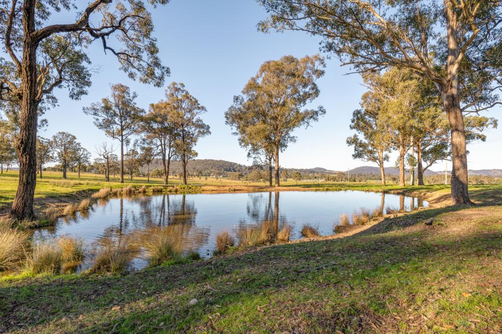 3949 Clarence Town Rd, Dungog, NSW 2420