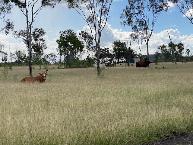 51 Spring Creek Rd, Wycarbah, QLD 4702