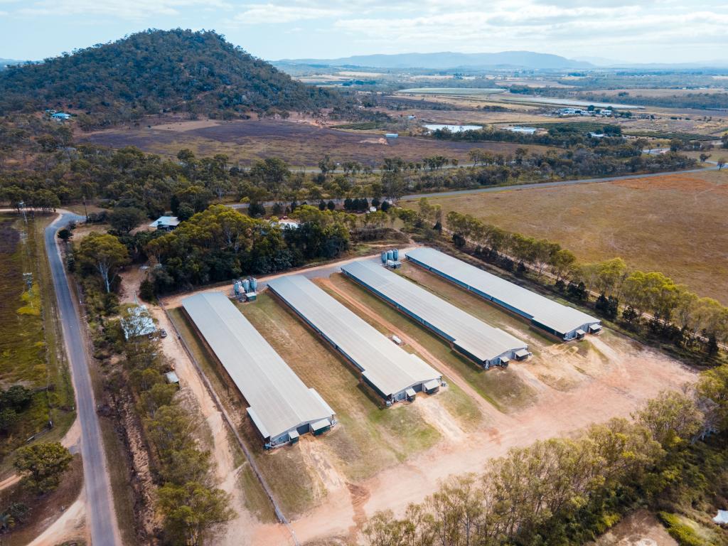 59 Martin Ave, Mareeba, QLD 4880