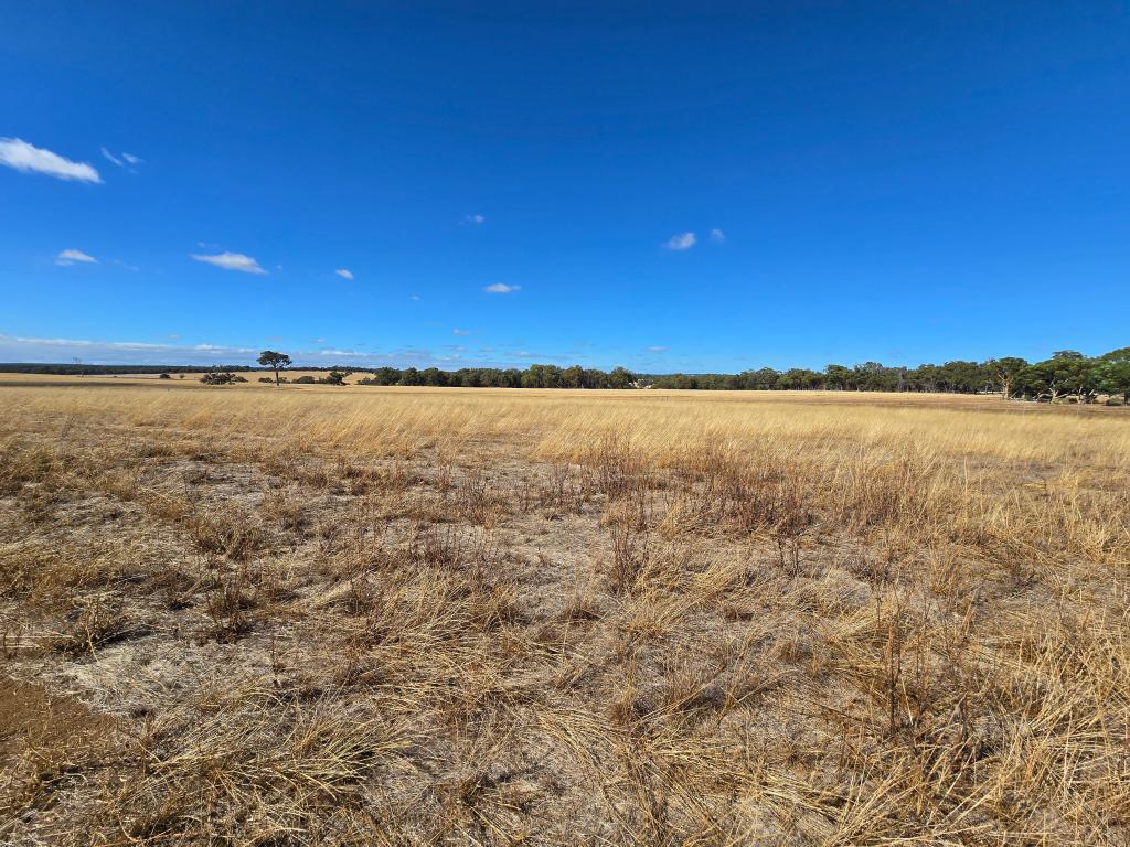 Lot 69/36 Shepherd Rd, Frankland River, WA 6396