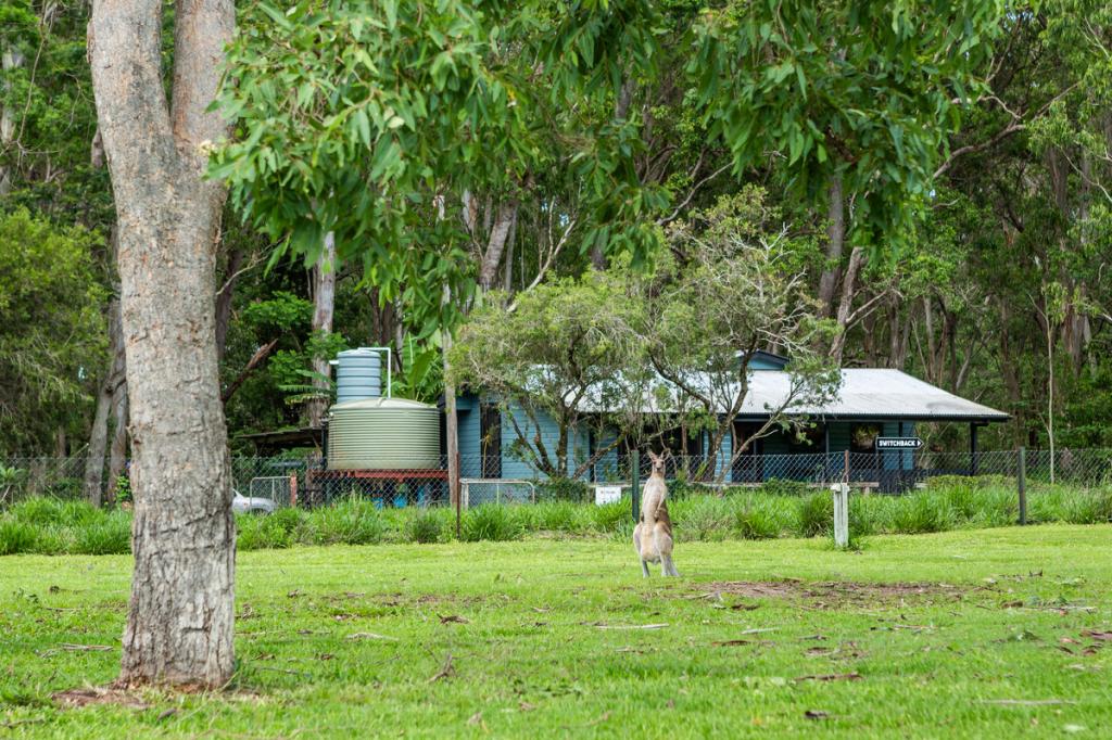 14 Condon Rd, Tumoulin, QLD 4888