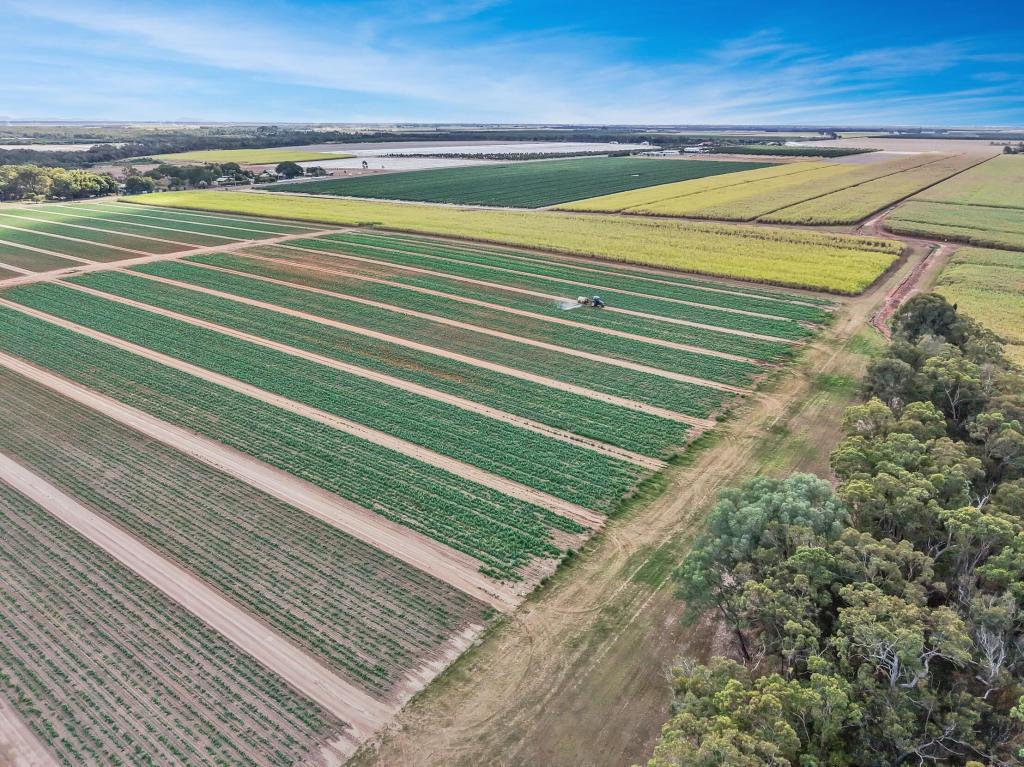 21 WOODS WEST RD, ALLOWAY, QLD 4670