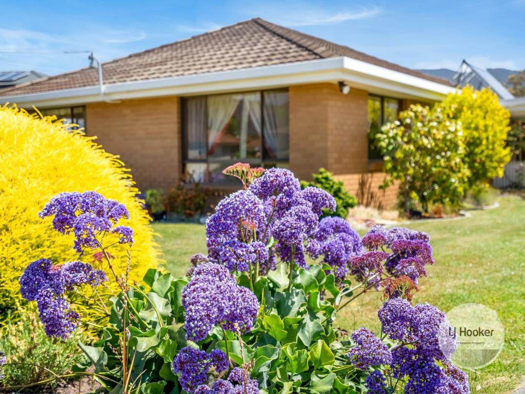 14 Morrisby Rd, Old Beach, TAS 7017