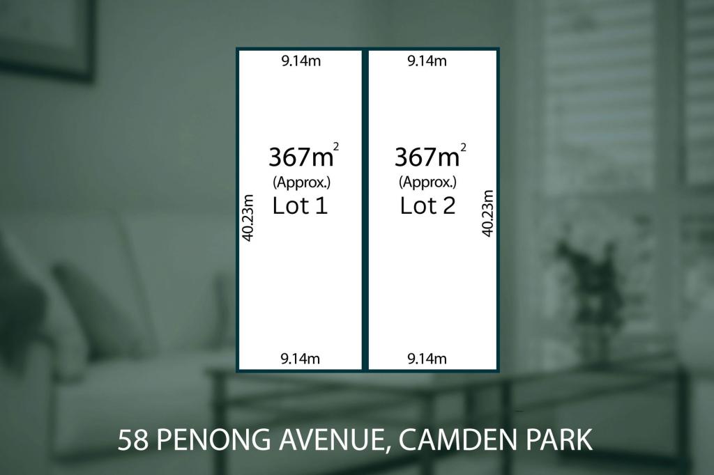 58 Penong Ave, Camden Park, SA 5038