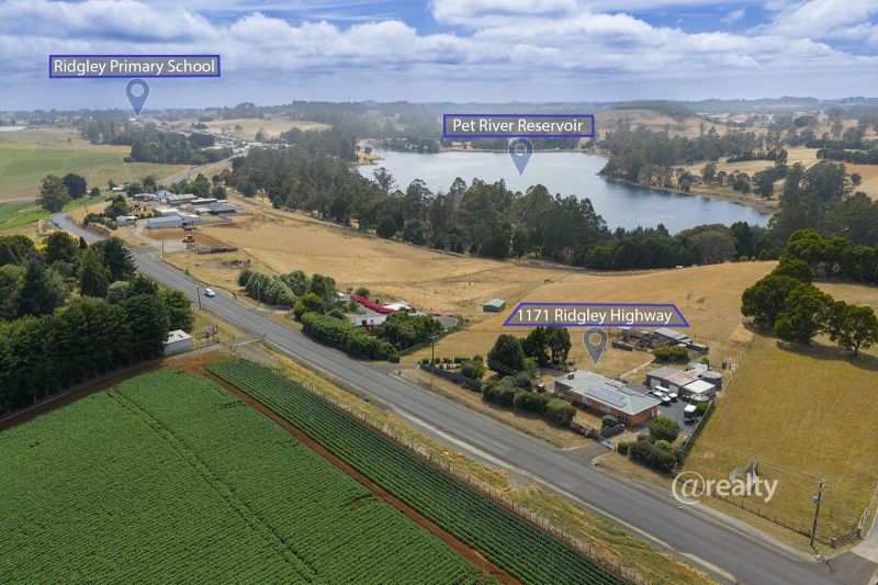 1171 Ridgley Hwy, Ridgley, TAS 7321